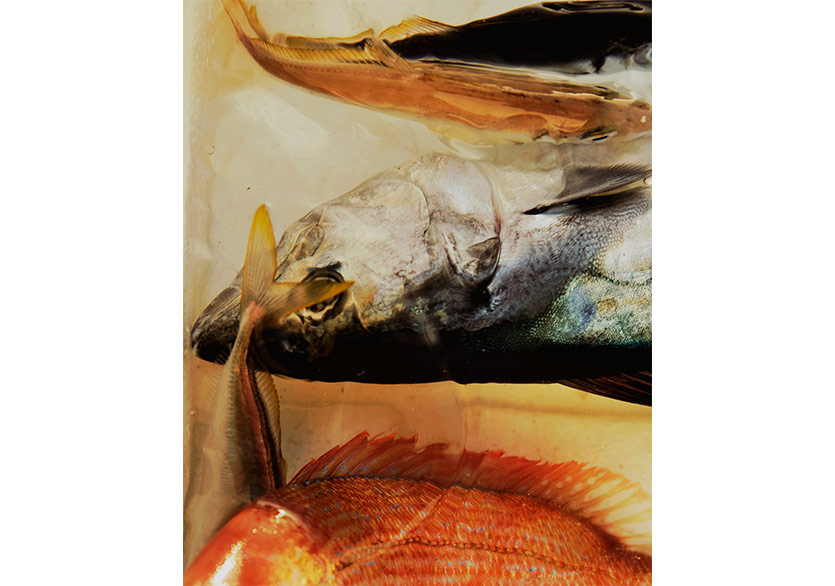 Mamut Art Project’ten Yeni Bir Platform: Mamut Limited