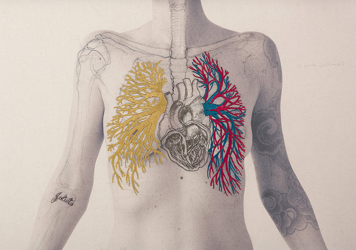 İnsan Anatomisine Sanatsal Bakış