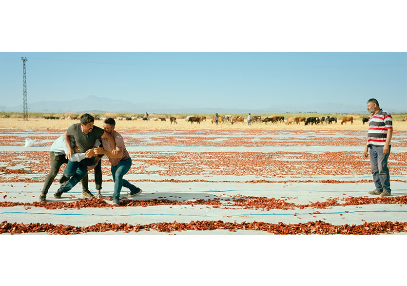 Murat Fıratoğlu’nun Ödüllü Filmi “Hemme’nin Öldüğü Günlerden Biri” MUBI’de