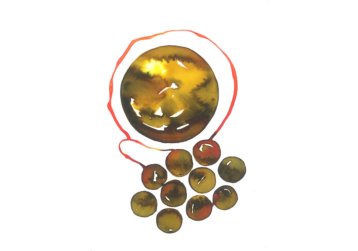 İnsanın Ekosistem Üzerindeki Egemenliği Üzerine