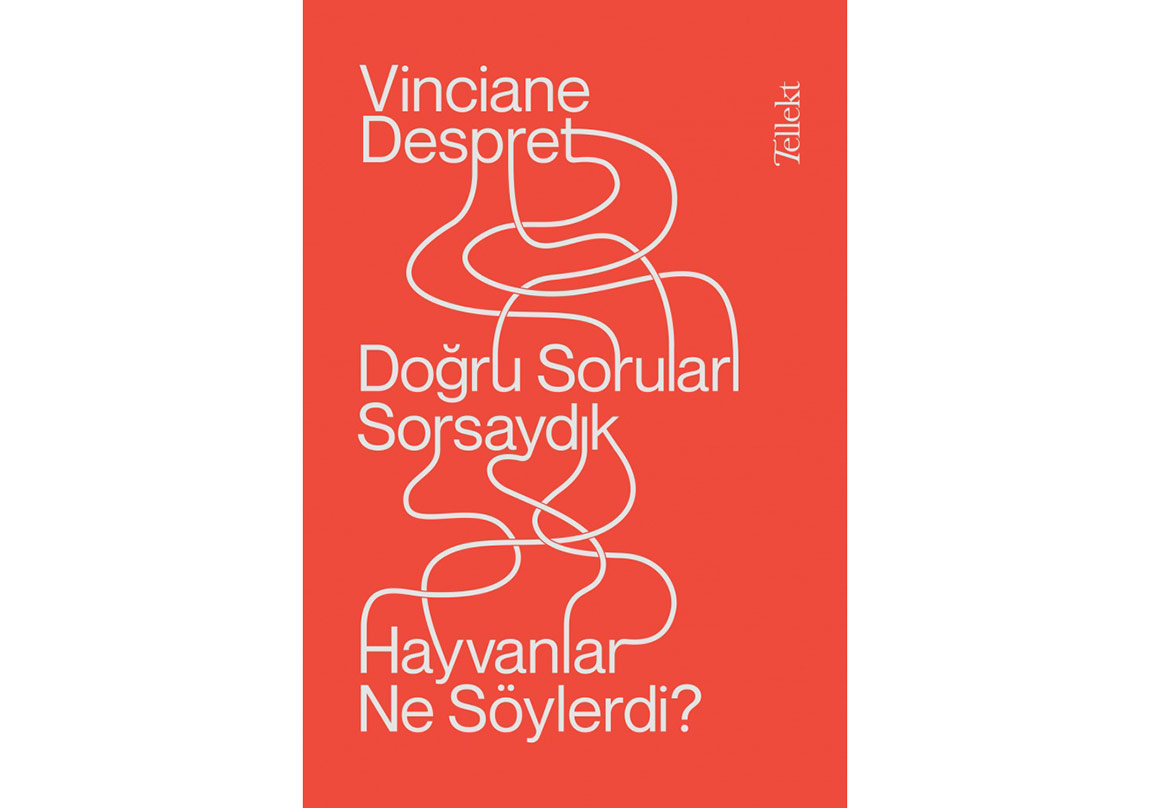 Doğru Soruları Sorsaydık Hayvanlar Ne Söylerdi?