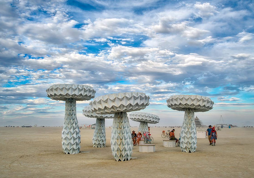 Burning Man Eserleri Washington’da!