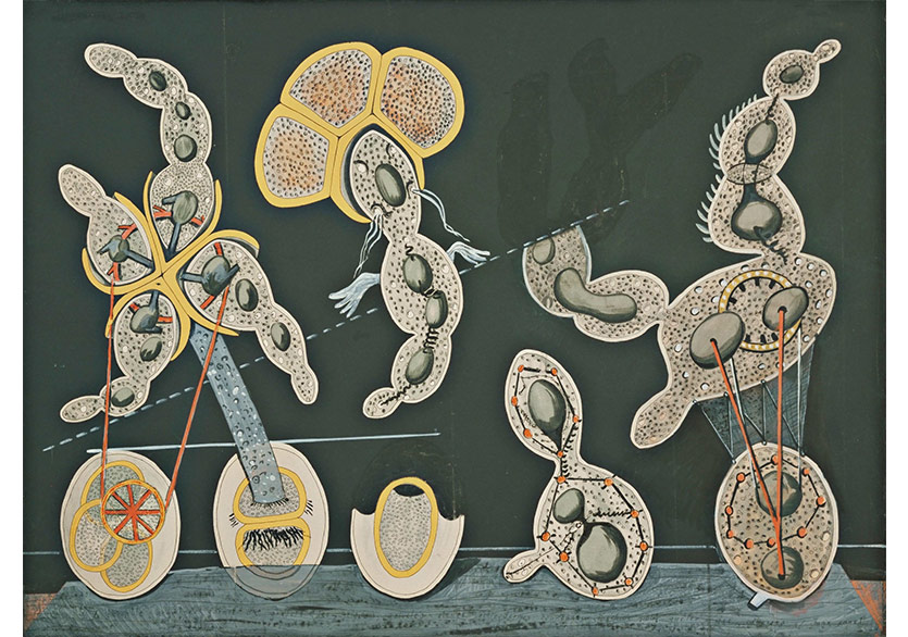 Resimden Öte Bir Max Ernst