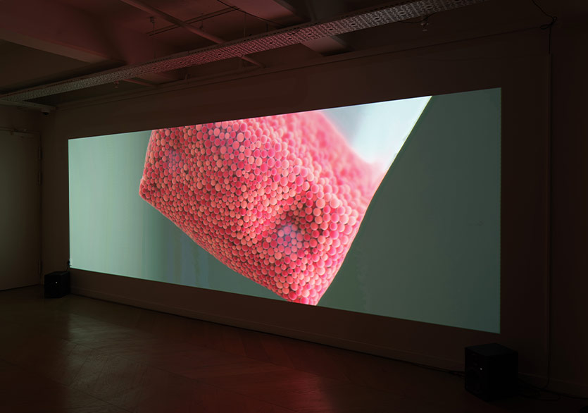 offgrid art Project ve Daire Sanat’tan İş Birliği: “Tesirli Karşılaşmalar”