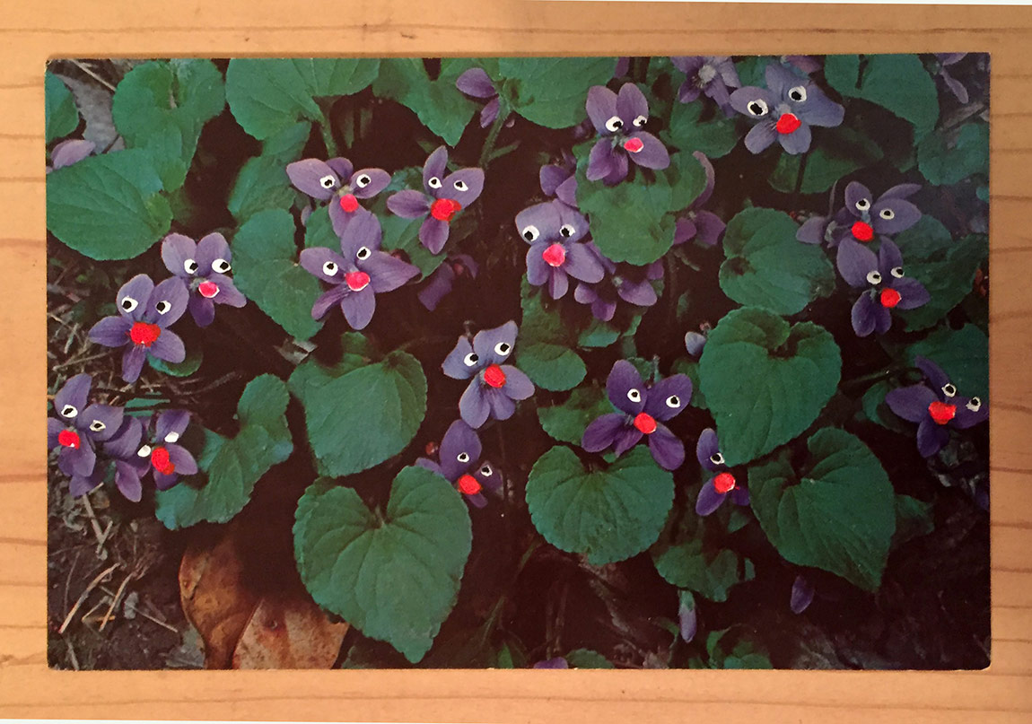 Vintage Kartpostallar Hayat Buluyor