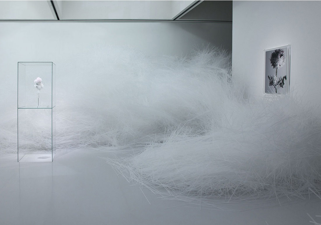 Tasarımın Estetiği