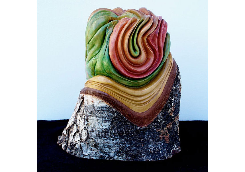 Ahşabın Bilinmeyen Hikayesi