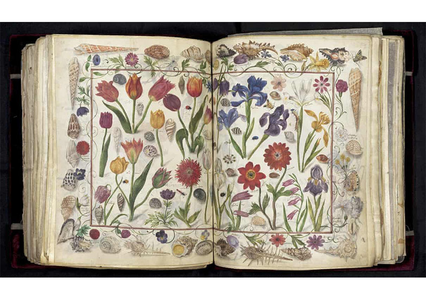 Alman Kütüphane “Dostluk Kitabı” İçin 2,5 Milyon Sterlin Ödedi