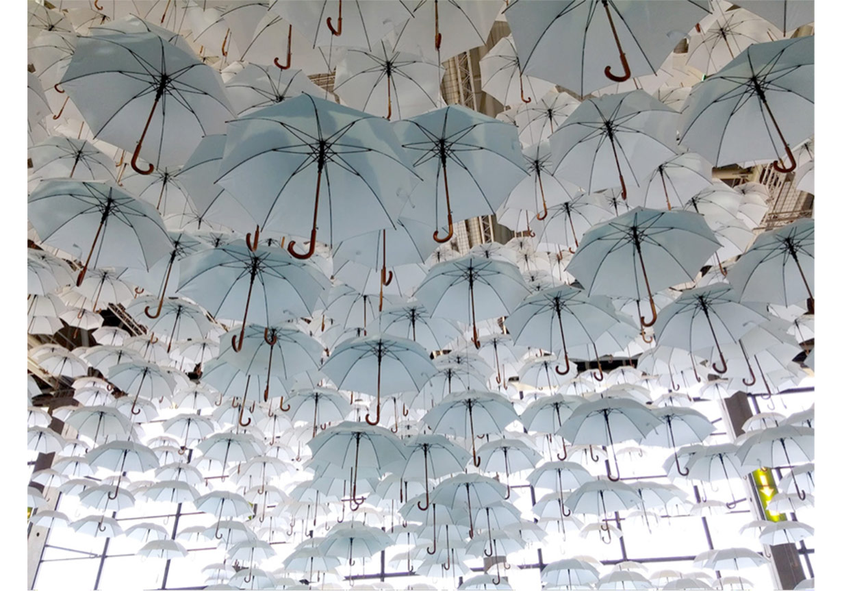 1100 Şemsiye Bir Kurulumda Bir Arada