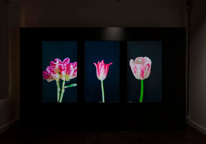 Doğa Temalı Bir Dijital Sanat Deyimi “Flora” Sergisi Kalyon Kültür’de