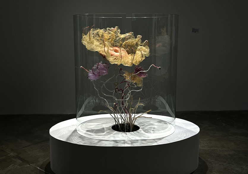 EArt Galeri’den Yeni Sergi: “İstisnaların İhtimali”