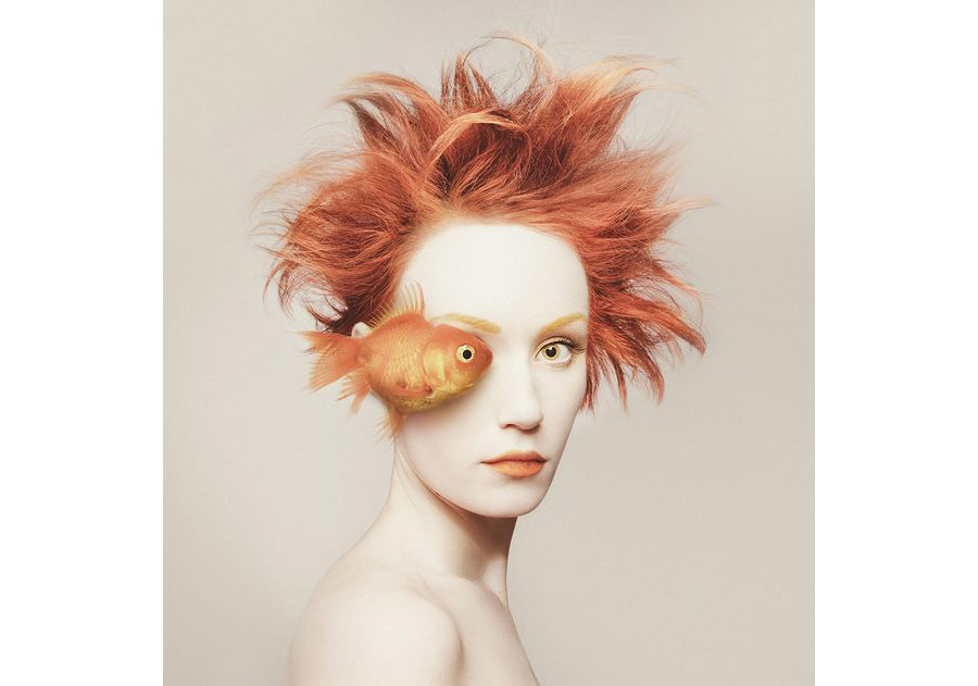 Suratınızın Yarısını Bir Hayvanla Paylaşmaya Ne Dersiniz?