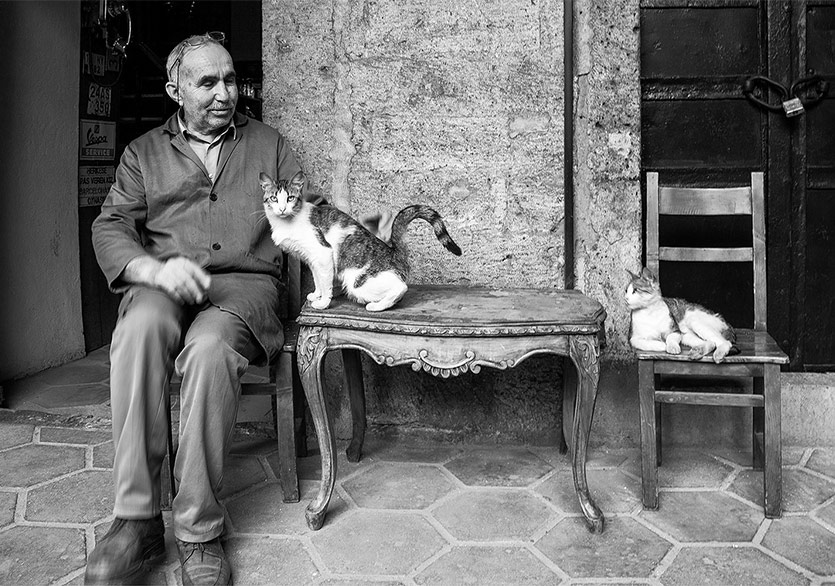 “Hanlarda Yaşam” Sergisi Arthan Sanat Galerisi’nde