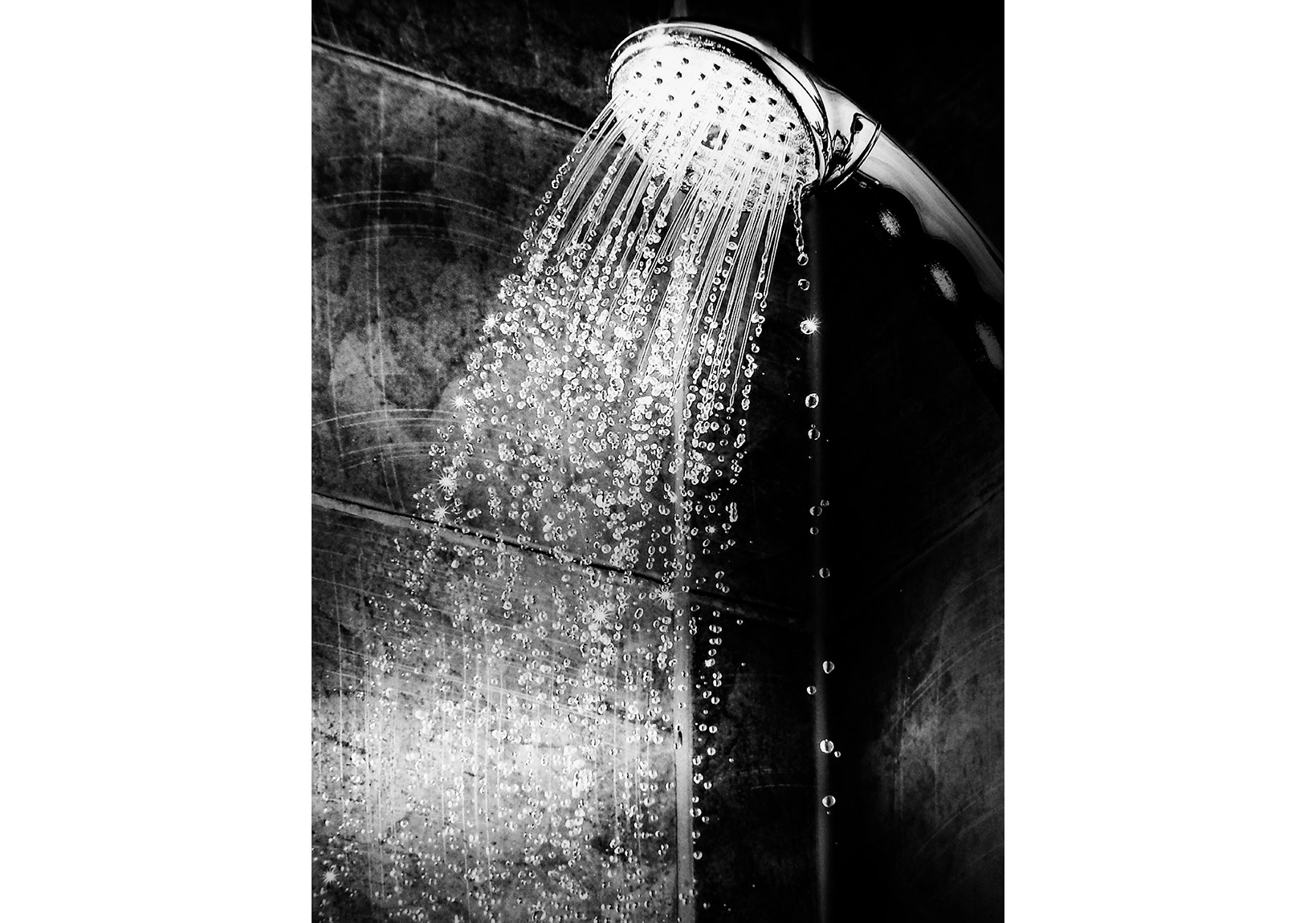 İki Fotoğrafçı Fondation Cartier’da Buluşuyor