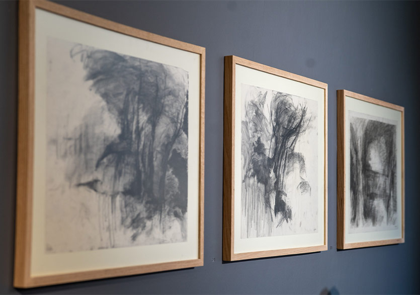 Niloufar Jaberi’nin “Entanglement/İç İçe” Sergisi ARUCAD Art Space’te