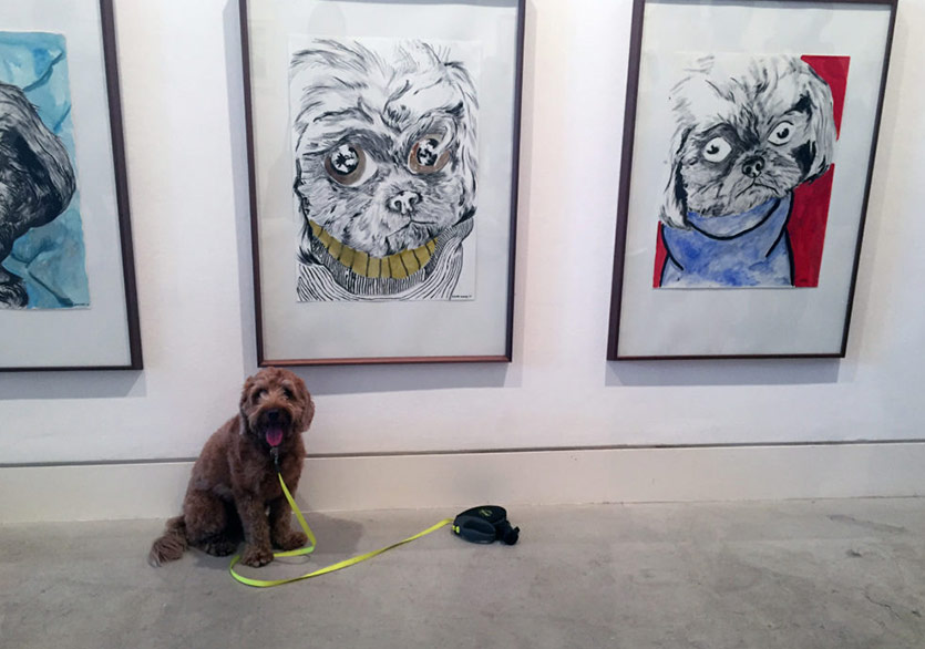 Sanat Dünyasından Köpekler Sergi Düzenliyor