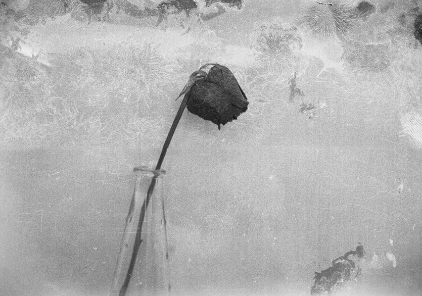 Sevgi Soysal’ın “Yürümek” Romanı Fotoğraflarla Yorumlandı