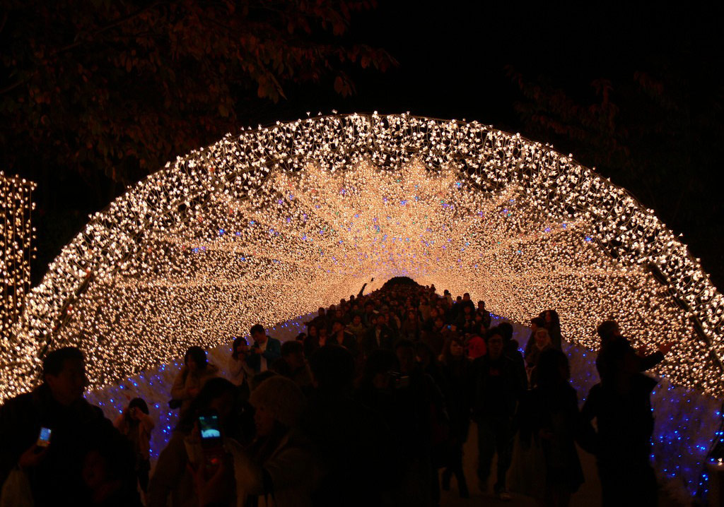 Winter Light Festival Japonya’da Işık Saçıyor