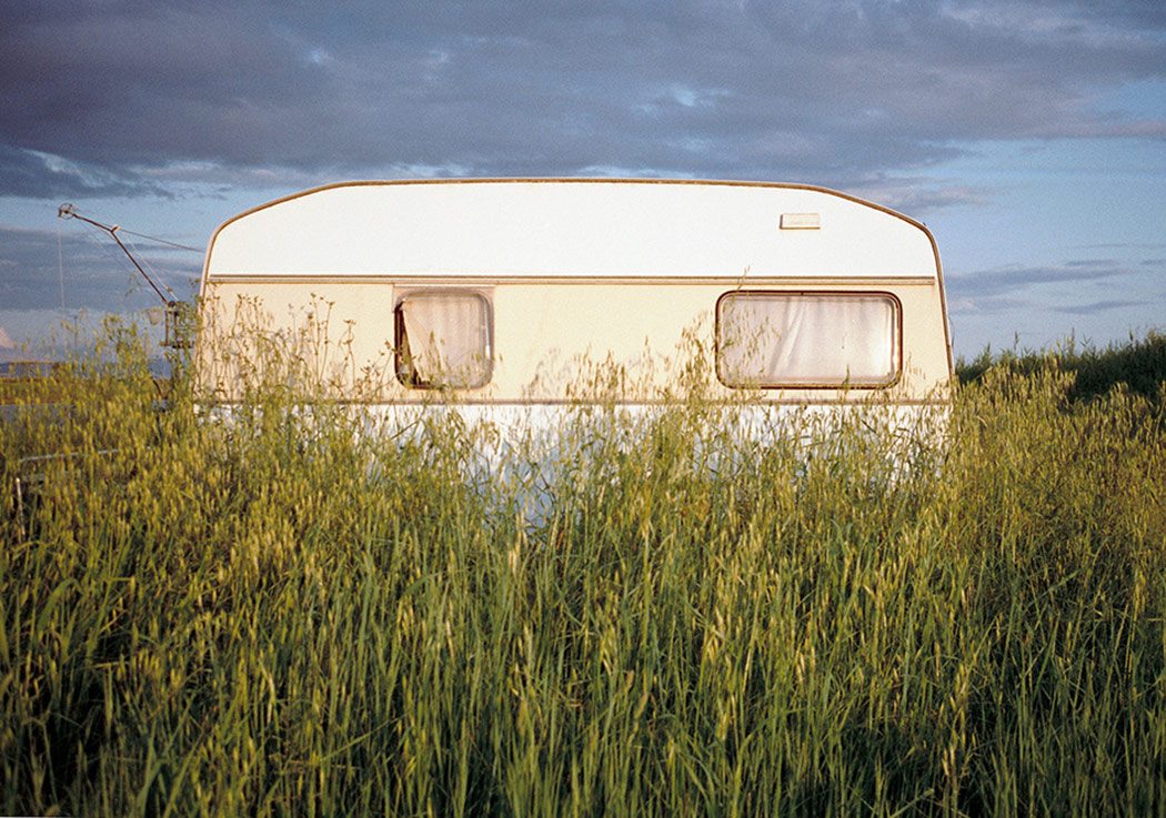 Sıcak Renklerin Dansı
