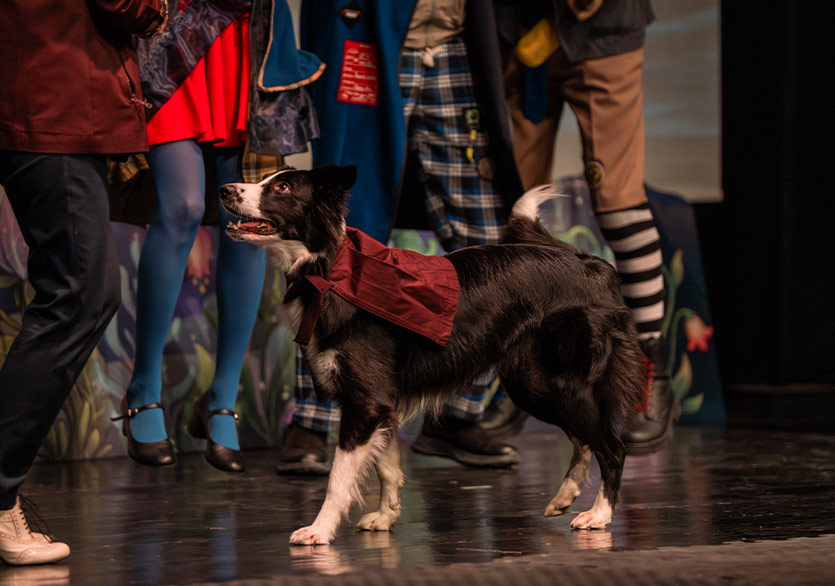“Dedektif Köpek Dodo”, Çocuk Bayramı Haftasında Sahnede