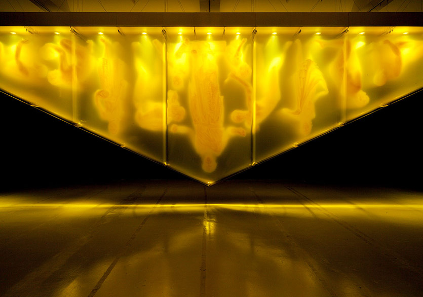 Eterik Kurulumların Benzersiz Dili