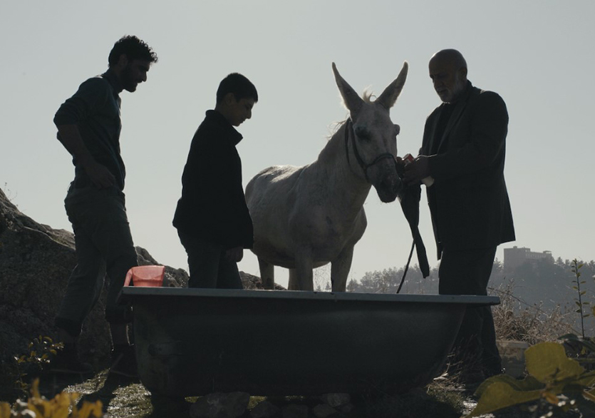 31. Ankara Uluslararası Film Festivali’nin Kazananları Açıklandı