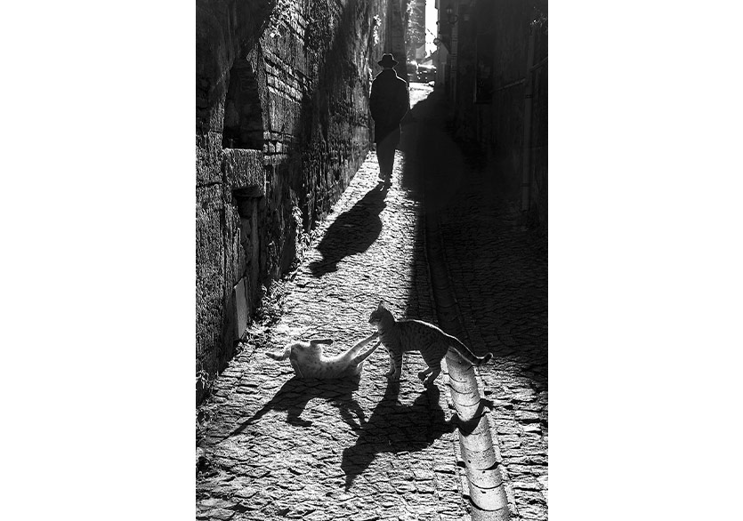 Timurtaş Onan, “Bir Sokak Sergüzeşti” Sergisiyle Işık Galeri’de 