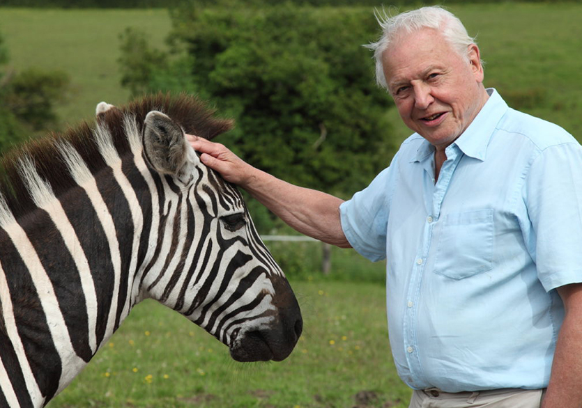 Hans Zimmer ve Thom Yorke’un Soundtrack Çalışması!
