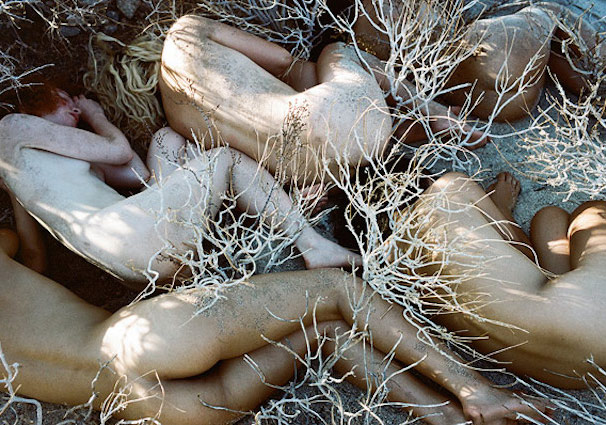 Portrelere Yansıyan Çiçekler