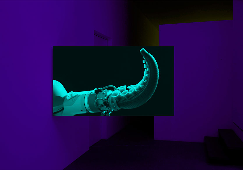 KASA Galeri’den Yeni Sergi: “Symbolic Vault: Entanglements of Human, Nature, Machine”