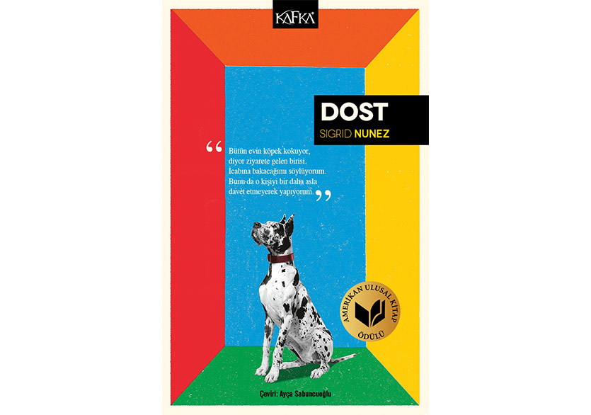 Hem Bir Delilik Öyküsü Hem De Bir İyileşme Anlatısı: Dost