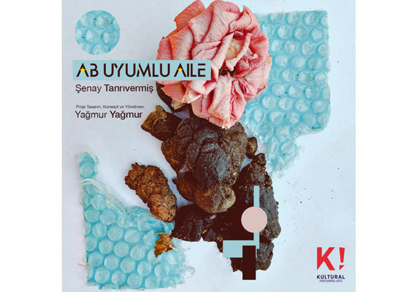 “AB Uyumlu Aile” İzleyiciyle Buluşuyor