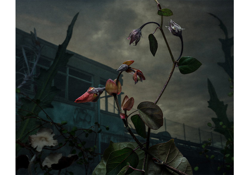 212 Photography Istanbul 5 Ekim’de Başlıyor