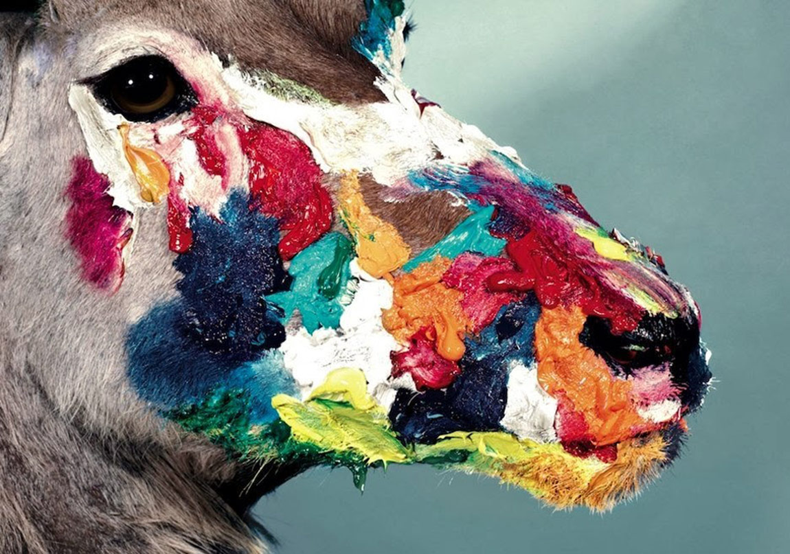 Fotoğraf Dünyasının Özgün İkilisi