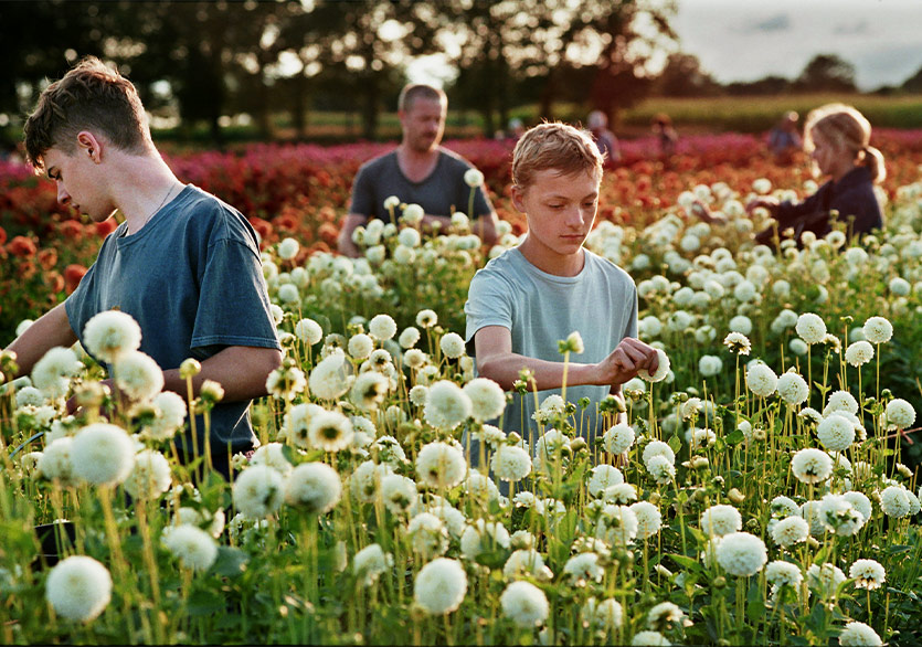 27. Gezici Festival 2 Aralık’ta Başlıyor