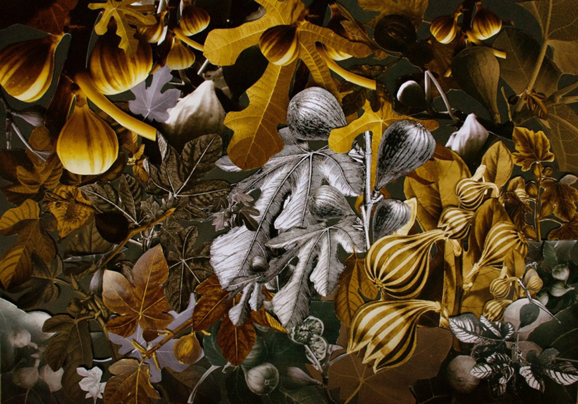 Deney Alanı Olarak Bitkilerin Bulmacası