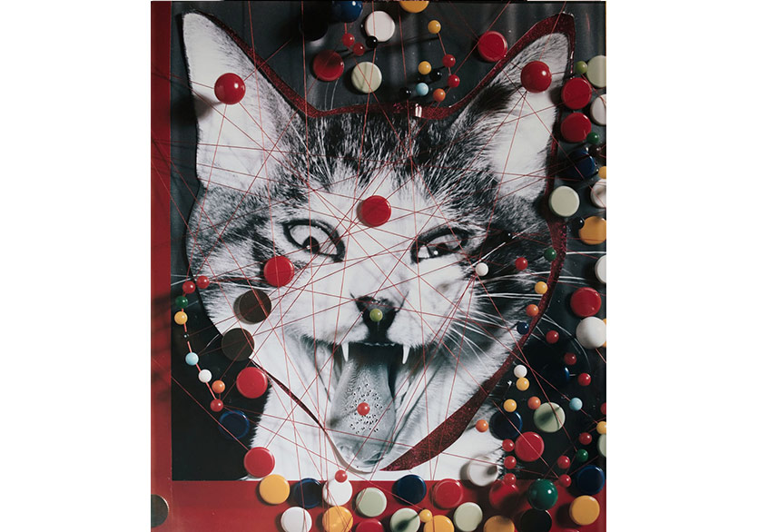 Fotoğrafı Çekmek Değil Yapmak