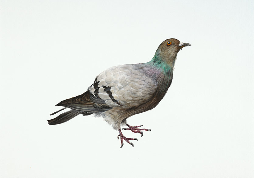 Hüseyin Aksoy’un “Başlangıçta Cıvıltılar Vardı” Sergisi Ferda Art Platform’da