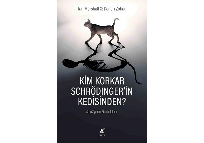 Kim Korkar Schrödinger'in Kedisinden?