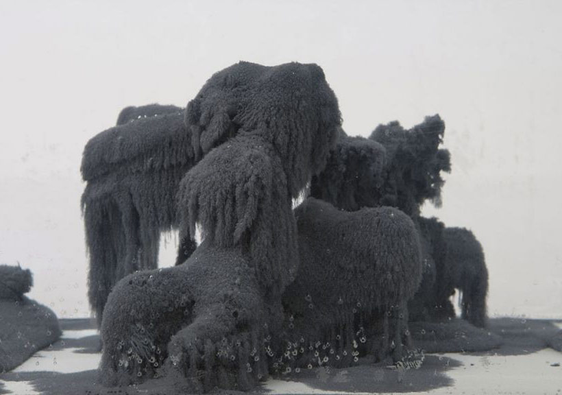 Süre Kavramı Üzerine Bir Sergi