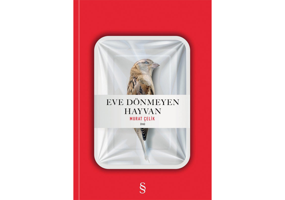 Murat Çelik’ten Öyküler: Eve Dönmeyen Hayvan