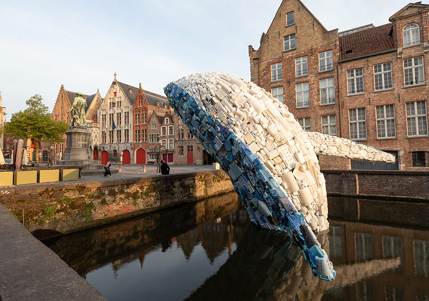 Brugge Kanalı’nda Dev Bir Balina