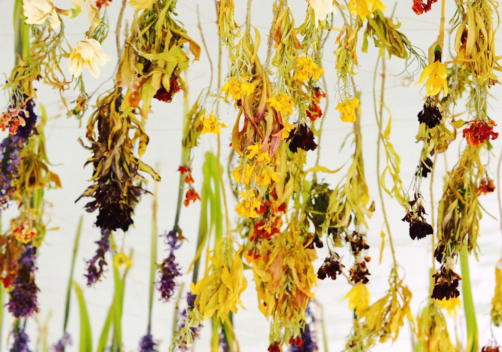 Doğadaki Çürüme Serüvenine Başka Bir Pencereden Bakmak