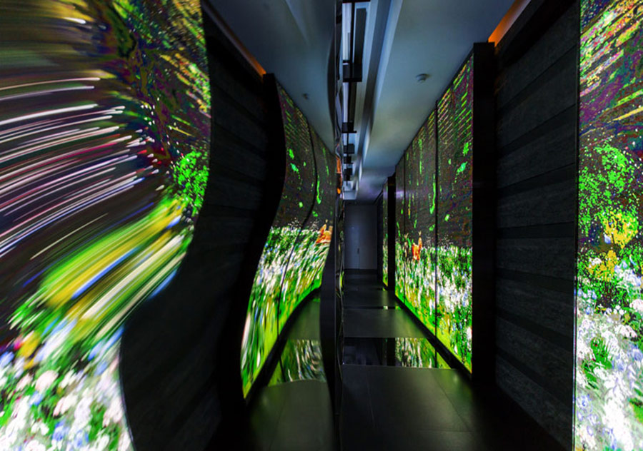 Tayvan’ın Vahşi Yaşamı Bir Bankanın İçinde