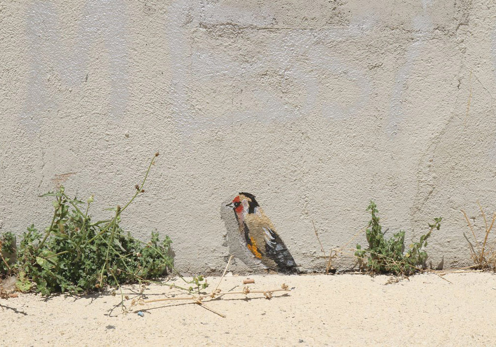 İnsanların Hayatlarına Dokunan Bir Sokak Sanatı Projesi