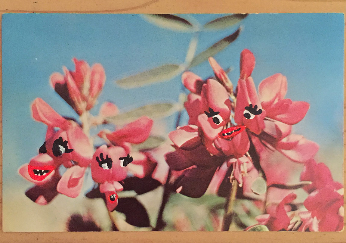 Vintage Kartpostallar Hayat Buluyor