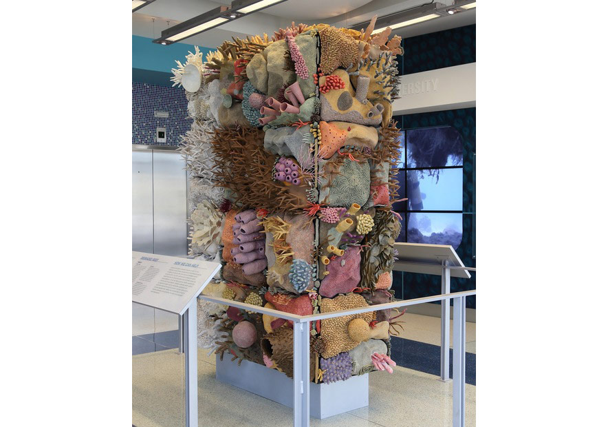 Heykellere Yansıyan Denizin Derinliklerindeki Güzellikler