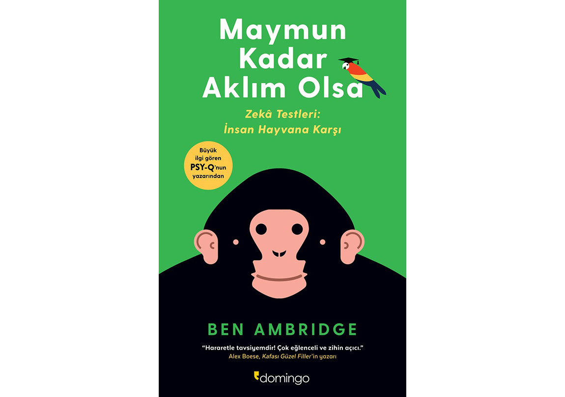 Maymun Kadar Aklım Olsa