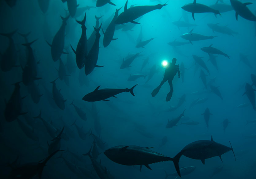 15. Arbella Uluslararası Fotoğraf Yarışması Sergisi Taksim Sanat’ta 