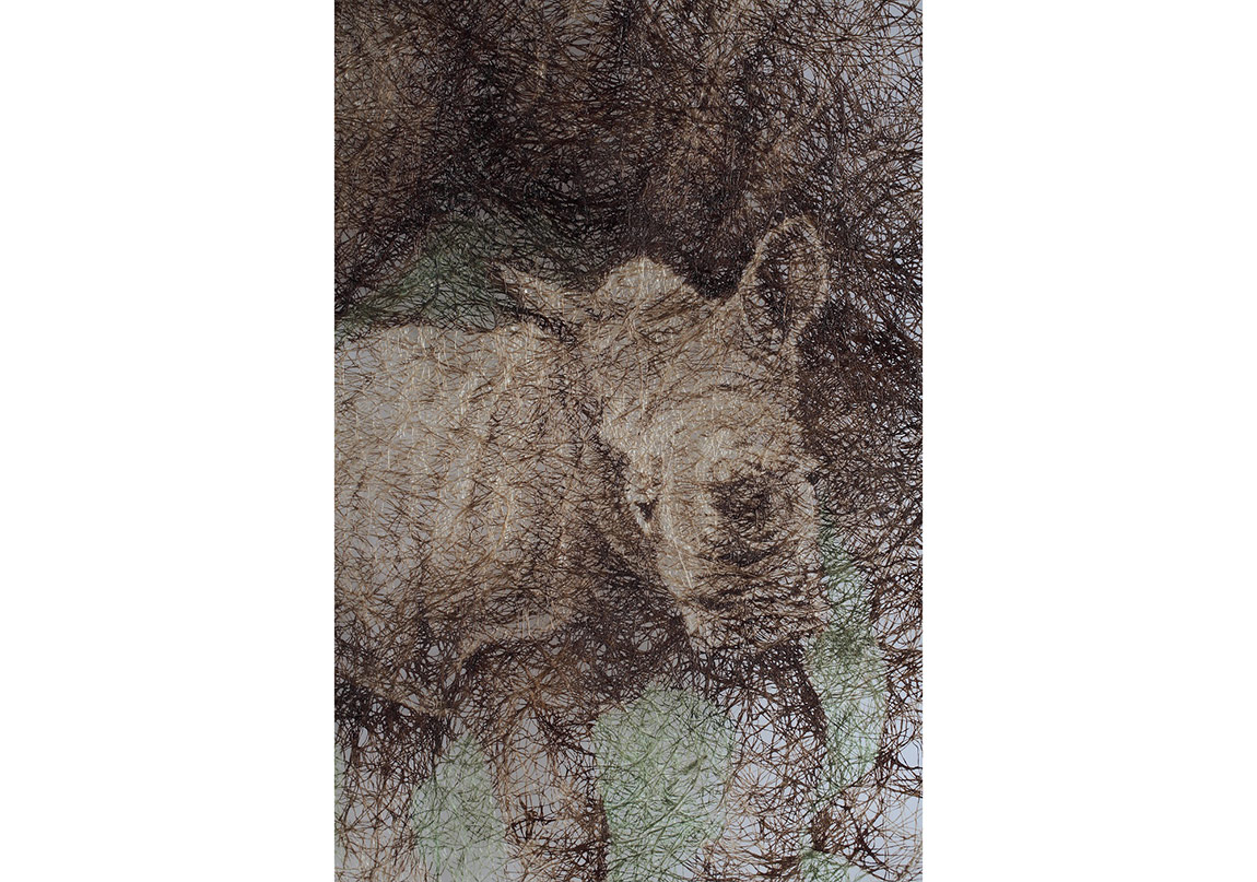 İpek İpliklerle Varoluşsal Sorular